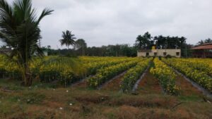 0f649c67-4176-4238-9547-f4797139594b-768x432 0f649c67-4176-4238-9547-f4797139594b-768x432