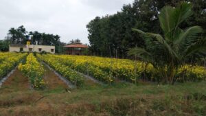 3dbb6aee-1f0a-49b2-a8b2-8e131af168bf-768x432 3dbb6aee-1f0a-49b2-a8b2-8e131af168bf-768x432