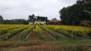 9180817e-fc6a-4b58-9623-f34b8ba98573