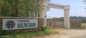 WhatsApp-Image-2024-05-27-at-9.35.37-AM-2-768x346 WhatsApp-Image-2024-05-27-at-9.35.37-AM-2-768x346