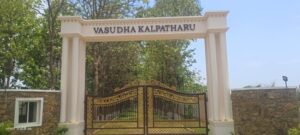 WhatsApp-Image-2024-05-27-at-9.35.38-AM-768x346 WhatsApp-Image-2024-05-27-at-9.35.38-AM-768x346