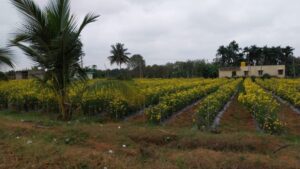 a6cb1a88-b741-49de-aceb-30f19f6d4469-768x432 a6cb1a88-b741-49de-aceb-30f19f6d4469-768x432